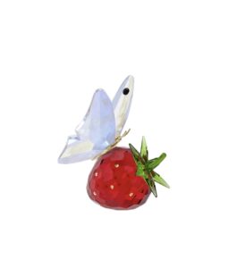 FRAISE ET PAPILLON