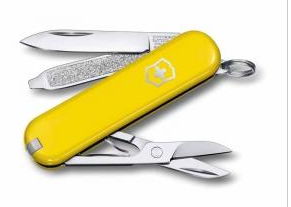 VICTORINOX